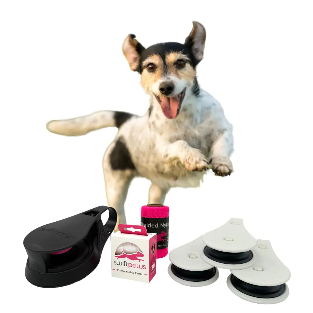 Swift Chase! - App-Enabled Dog Engagement Toy