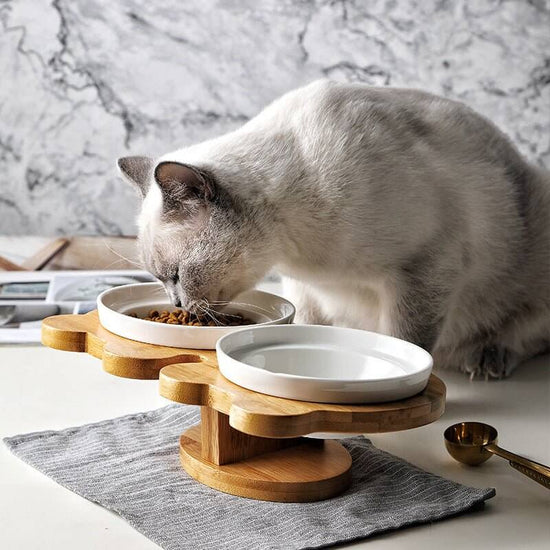 Ceramic Pet Products Cat Bowl - Zenvra