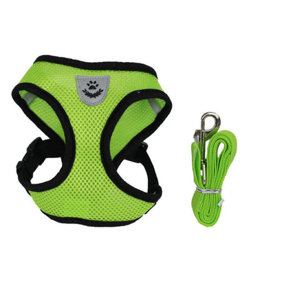 Comfortable adjustable dog harness by zenvra with padded chest strap for secure, comfortable pet walking.