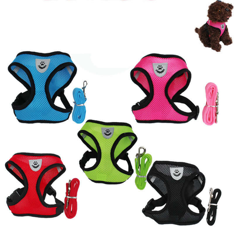 Comfortable adjustable zenvra dog harness with padded chest strap for secure and comfortable pet walking.