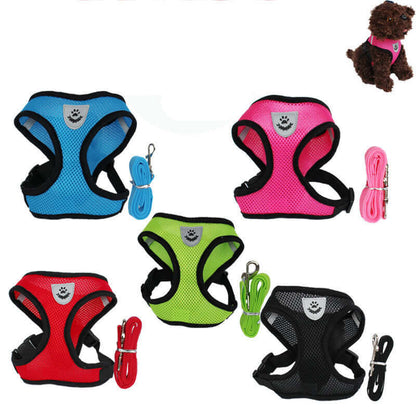 Comfortable adjustable zenvra dog harness with padded chest strap for secure and comfortable pet walking.