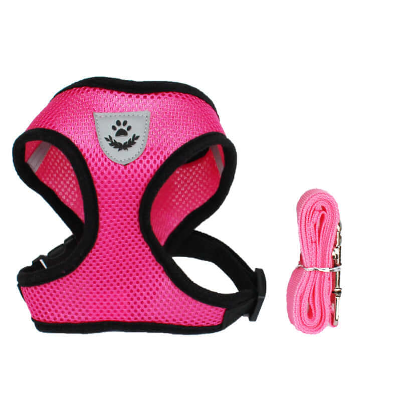 Comfortable adjustable dog harness with chest strap by Zenvra, featuring soft padding and secure fit for small to medium dogs.