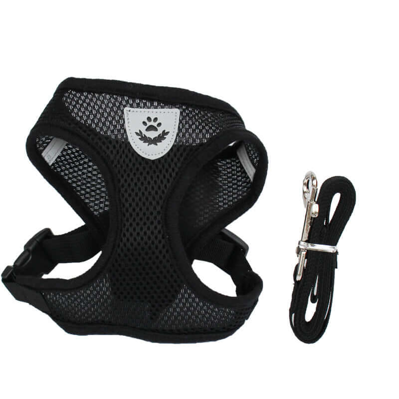 Comfortable adjustable Zenvra dog harness with padded chest strap for secure and comfortable pet walking.