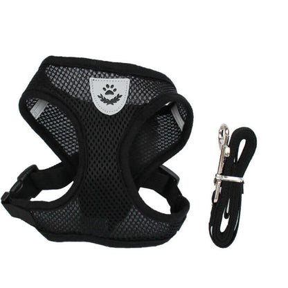 Comfortable adjustable Zenvra dog harness with padded chest strap for secure and comfortable pet walking.