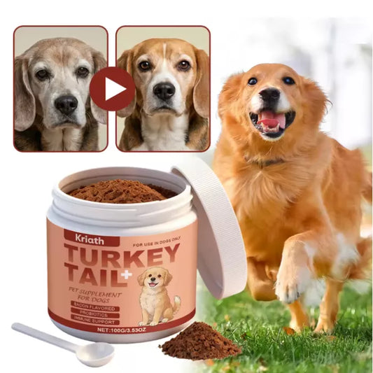 Immune Supplements For Dogs