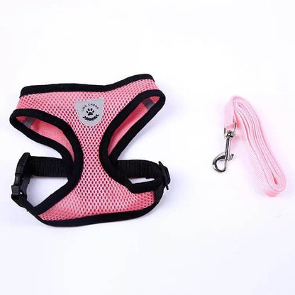 Comfortable Zenvra adjustable dog harness with padded chest strap for secure and comfortable pet walking.
