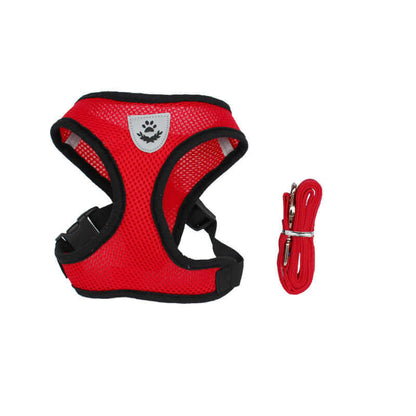 Adjustable Zenvra dog harness with padded chest strap, designed for comfort and secure fit during walks.