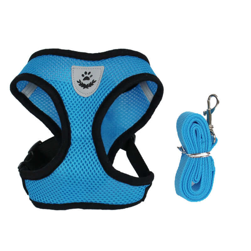 Comfortable adjustable pet dog harness by Zenvra with padded chest strap and secure buckle for a snug fit.