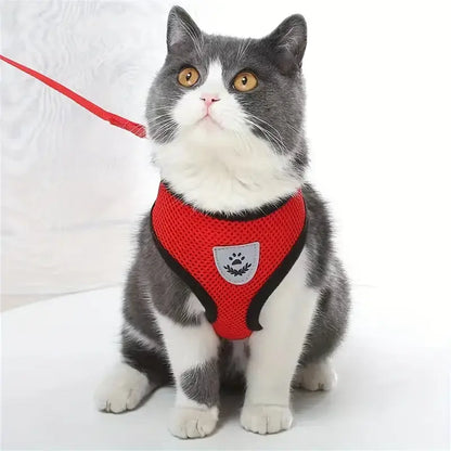 Comfortable Zenvra adjustable pet dog harness with padded chest strap and secure buckle for a snug fit.