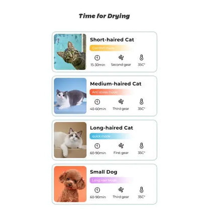 Zenvra smart pet dryer box with quiet operation and temperature control, designed for drying and grooming pets safely.