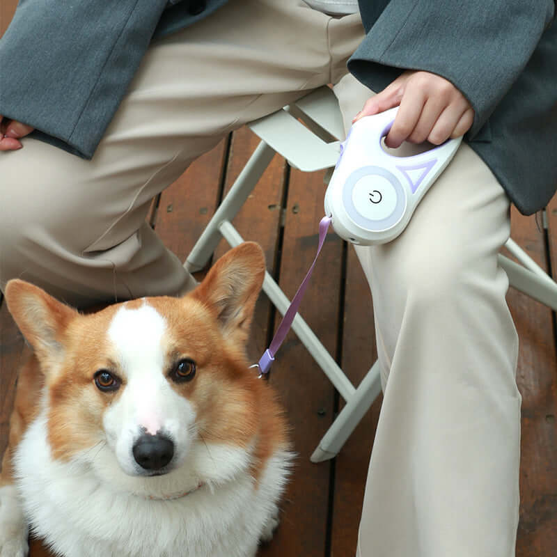 Zenvra retractable dog leash with automatic traction rope, showing the leash extended with a comfortable handle for walking pets.