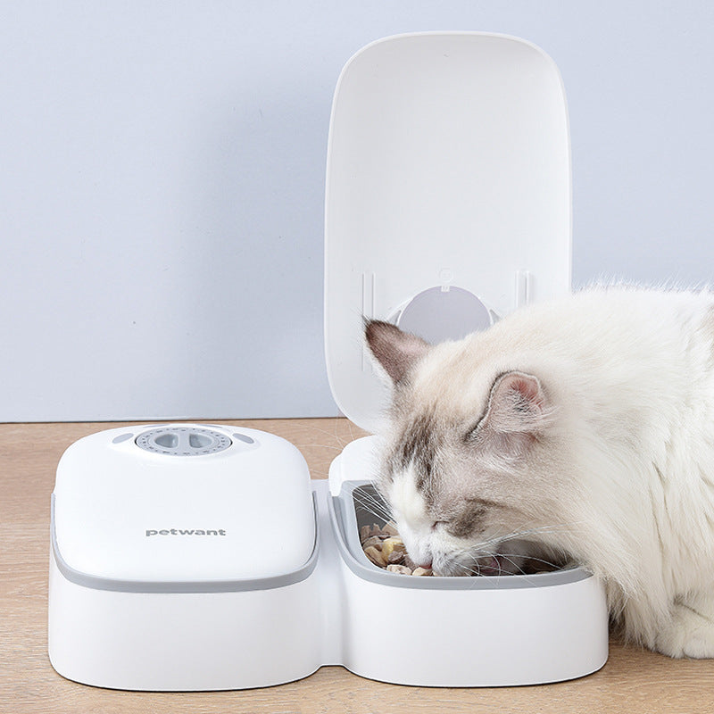 Zenvra automatic timing pet feeder for puppies and dogs, with digital display and food dispenser.