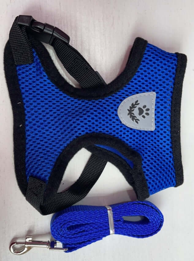 Adjustable Zenvra dog harness with padded chest strap, designed for comfort and secure fit during walks.
