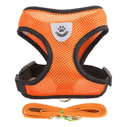 Comfortable adjustable dog harness from Zenvra featuring a padded chest strap and secure fit for pets.