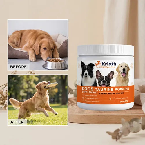 Dogs Taurine Powder Supplement