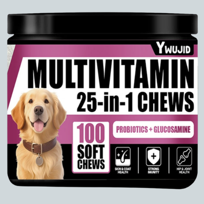 25 In 1 Immune Supplement