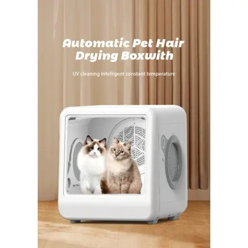 Zenvra smart pet dryer box with quiet operation and temperature control for safe, comfortable drying of pets.