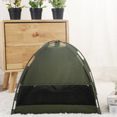 Cat cooling mat for pets in a cozy green tent setup with a wooden cabinet and potted plants in the background.
