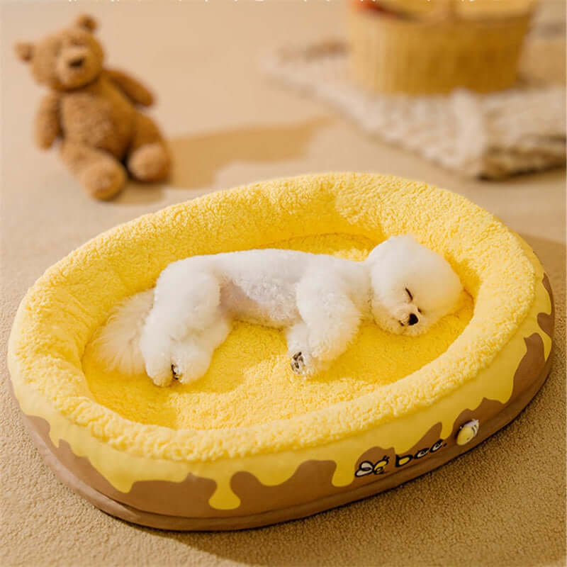 Washable four seasons pet bed for dogs and cats by Zenvra, featuring cozy, versatile design suitable for all weather conditions.