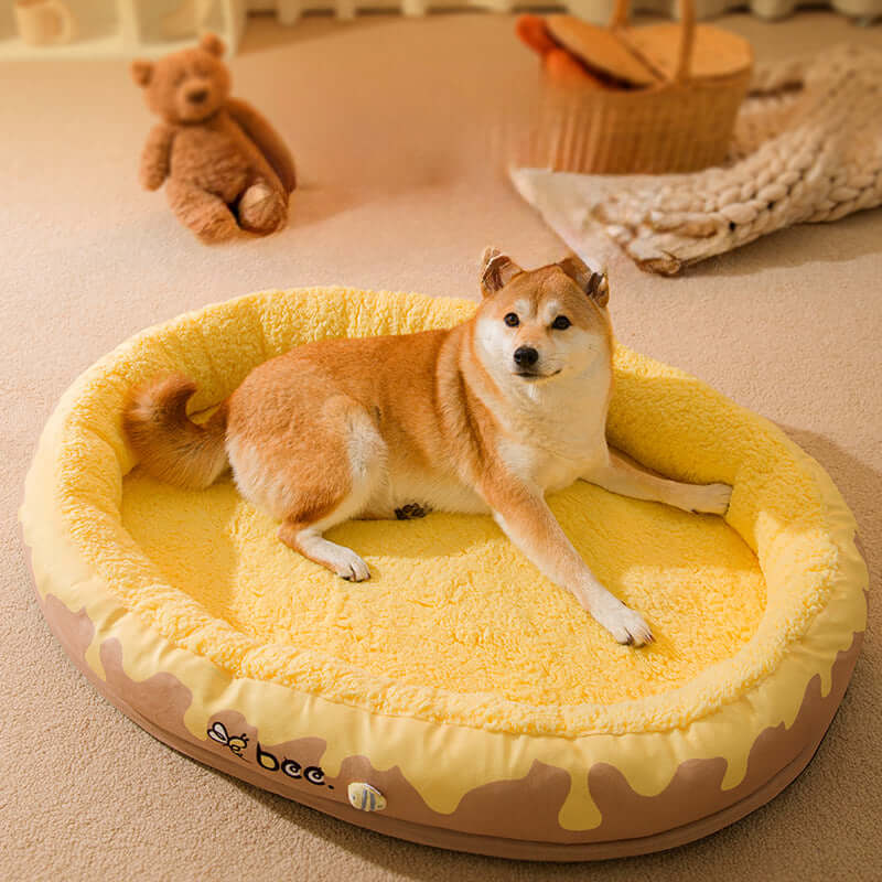 Zenvra washable four seasons pet bed for dogs and cats, showing a cozy, cushioned bed with removable covers in a home setting.