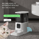 Pet Automatic Feeder Large Capacity Smart Voice Recorder APP Control Timer Feeding Cat Dog Food Dispenser With WiFi Pet Bo - Zenvra