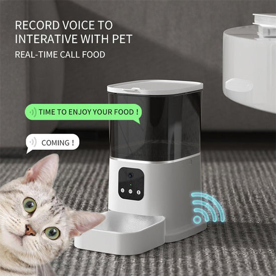 Pet Automatic Feeder Large Capacity Smart Voice Recorder APP Control Timer Feeding Cat Dog Food Dispenser With WiFi Pet Bo - Zenvra