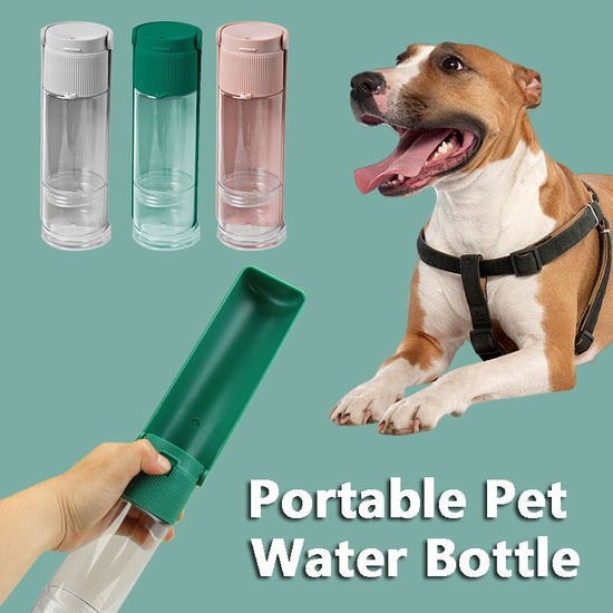 Portable Pet Supplies For Water Bottle Dog Drinking Bowl Cup Outdoor Travel Dogs Cats Water Dispenser Feeder - Zenvra