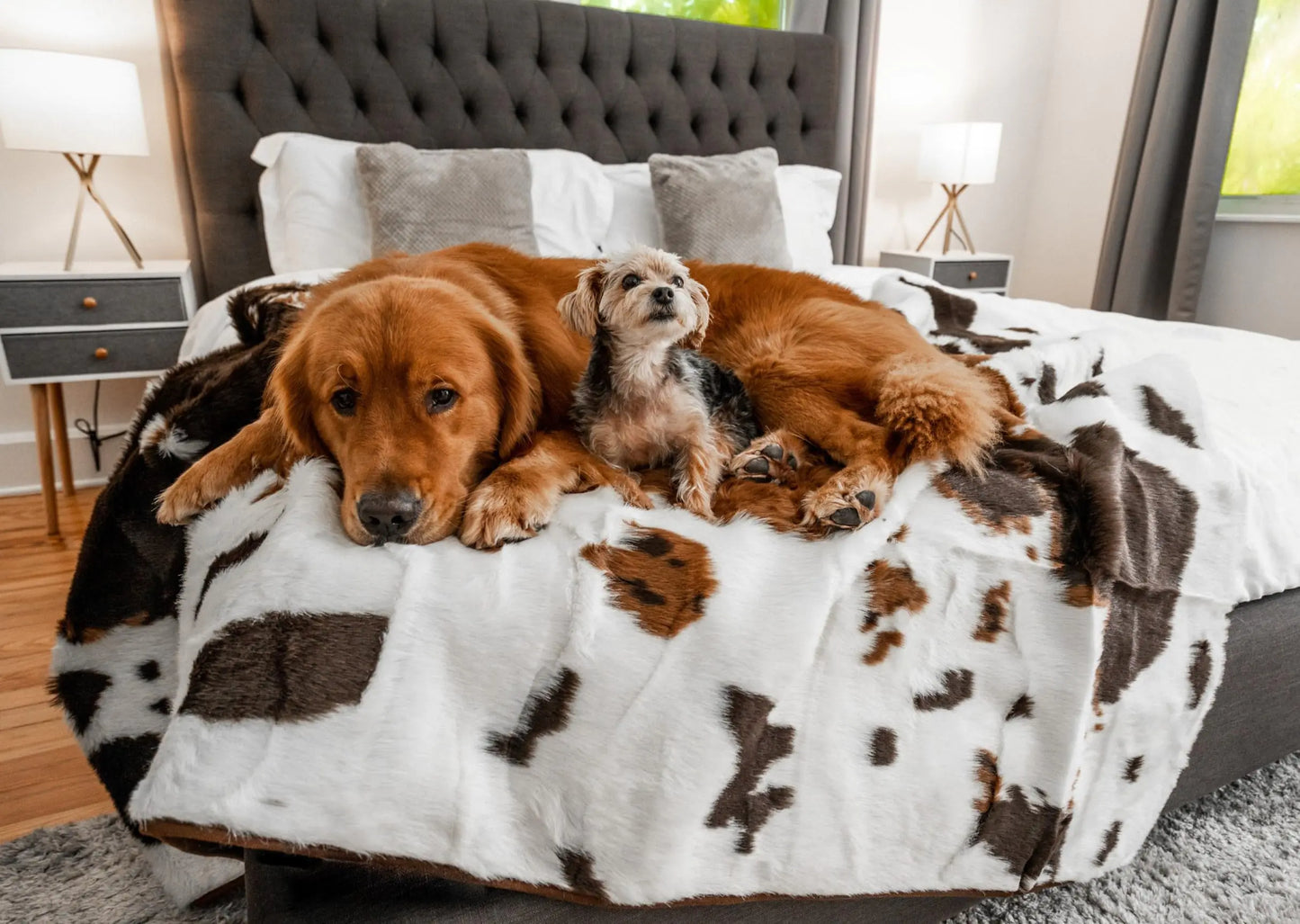 PetShield Luxe Waterproof Throw for Pets